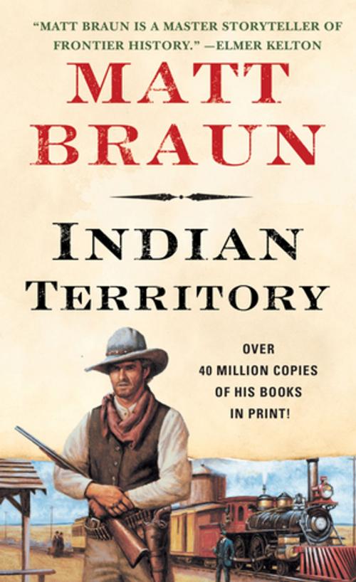 Cover of the book Indian Territory by Matt Braun, St. Martin's Press