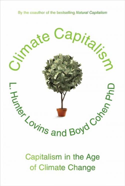 Cover of the book Climate Capitalism by L. Hunter Lovins, Boyd Cohen, Farrar, Straus and Giroux