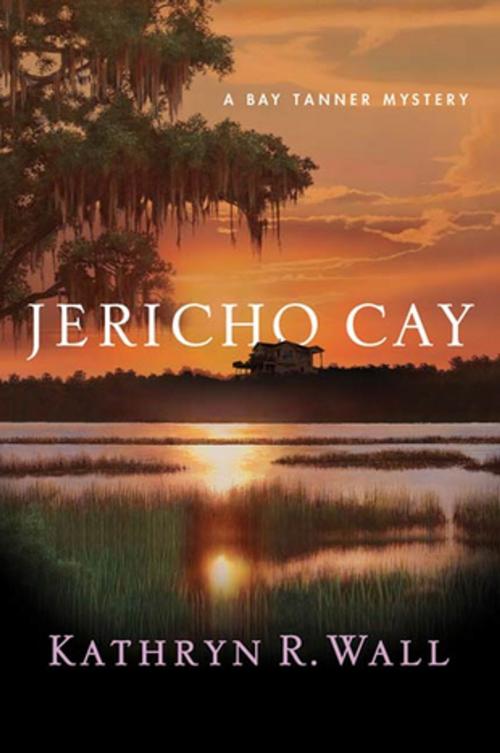 Cover of the book Jericho Cay by Kathryn R. Wall, St. Martin's Press