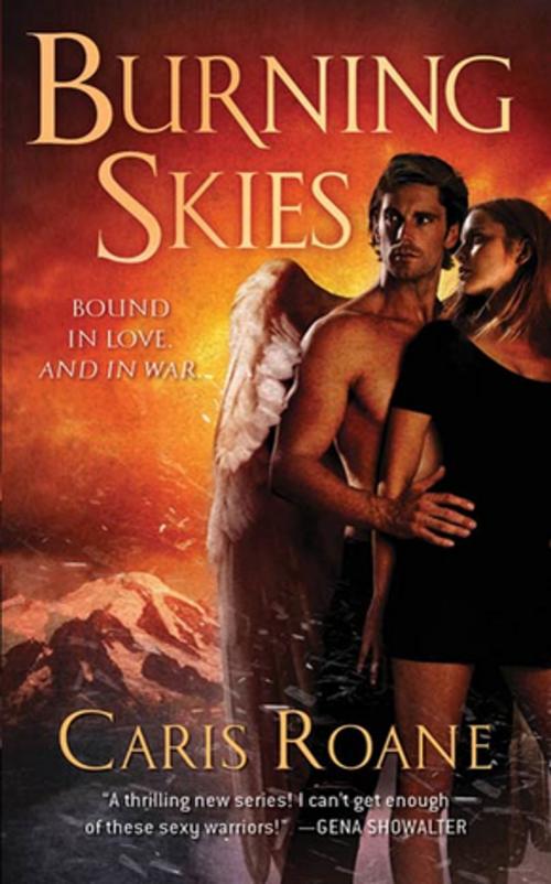 Cover of the book Burning Skies by Caris Roane, St. Martin's Press