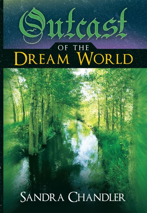 Cover of the book Outcast of the Dream World by Sandra Chandler, WestBow Press