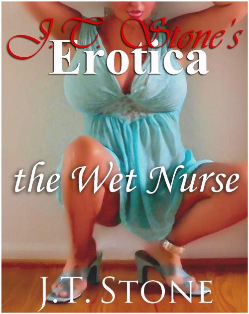 Cover of the book The Wet Nurse by J.T. Stone, J.T. Stone