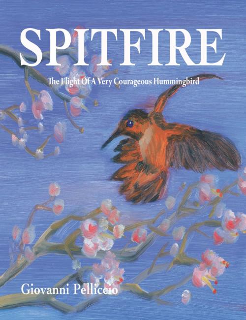 Cover of the book Spitfire: The Remarkable Flight Of A Very Courageous Hummingbird by Giovanni Pelliccio, Giovanni Pelliccio