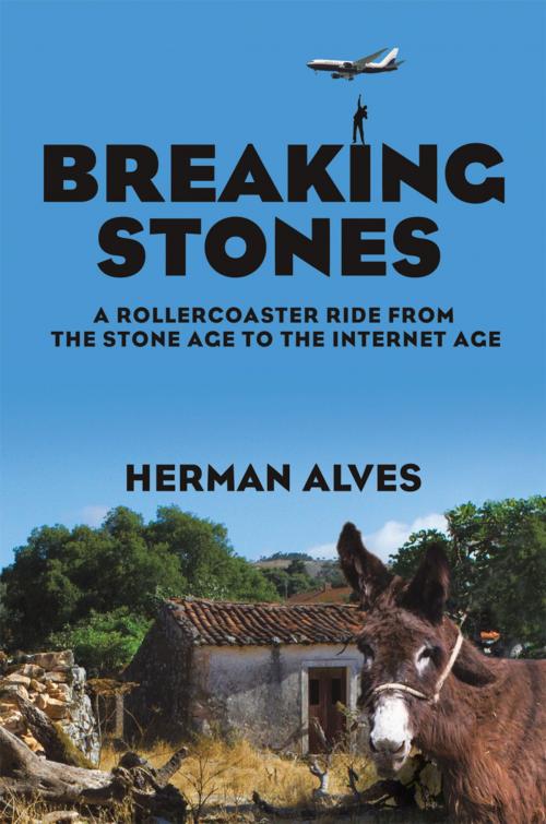 Cover of the book Breaking Stones by Herman Alves, iUniverse