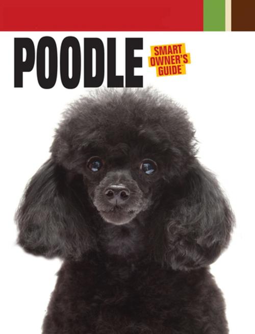 Cover of the book Poodle by Dog Fancy Magazine, CompanionHouse Books