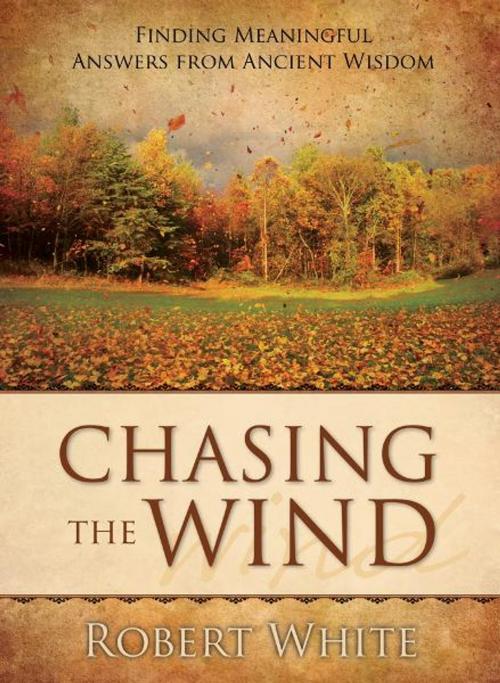 Cover of the book Chasing the Wind: Finding Meaningful Answers from Ancient Wisdom by Robert White, Word Alive Press