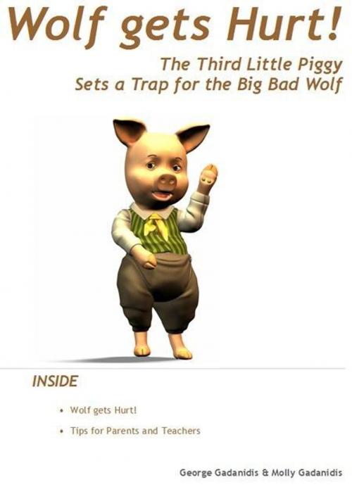 Cover of the book Wolf get hurt! by George Gadanidis, Molly Gadanidis, BrainyDay.ca Publications