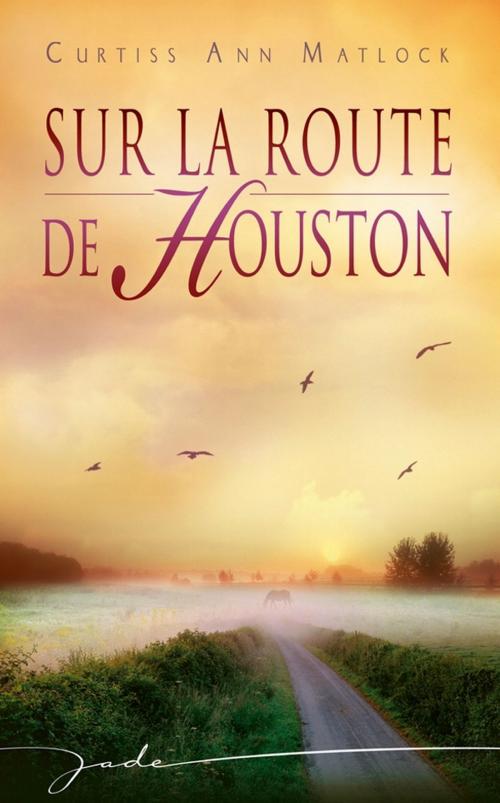 Cover of the book Sur la route de Houston by Curtiss Ann Matlock, Harlequin