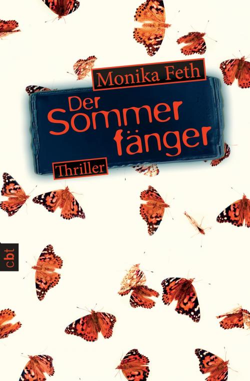 Cover of the book Der Sommerfänger by Monika Feth, cbt