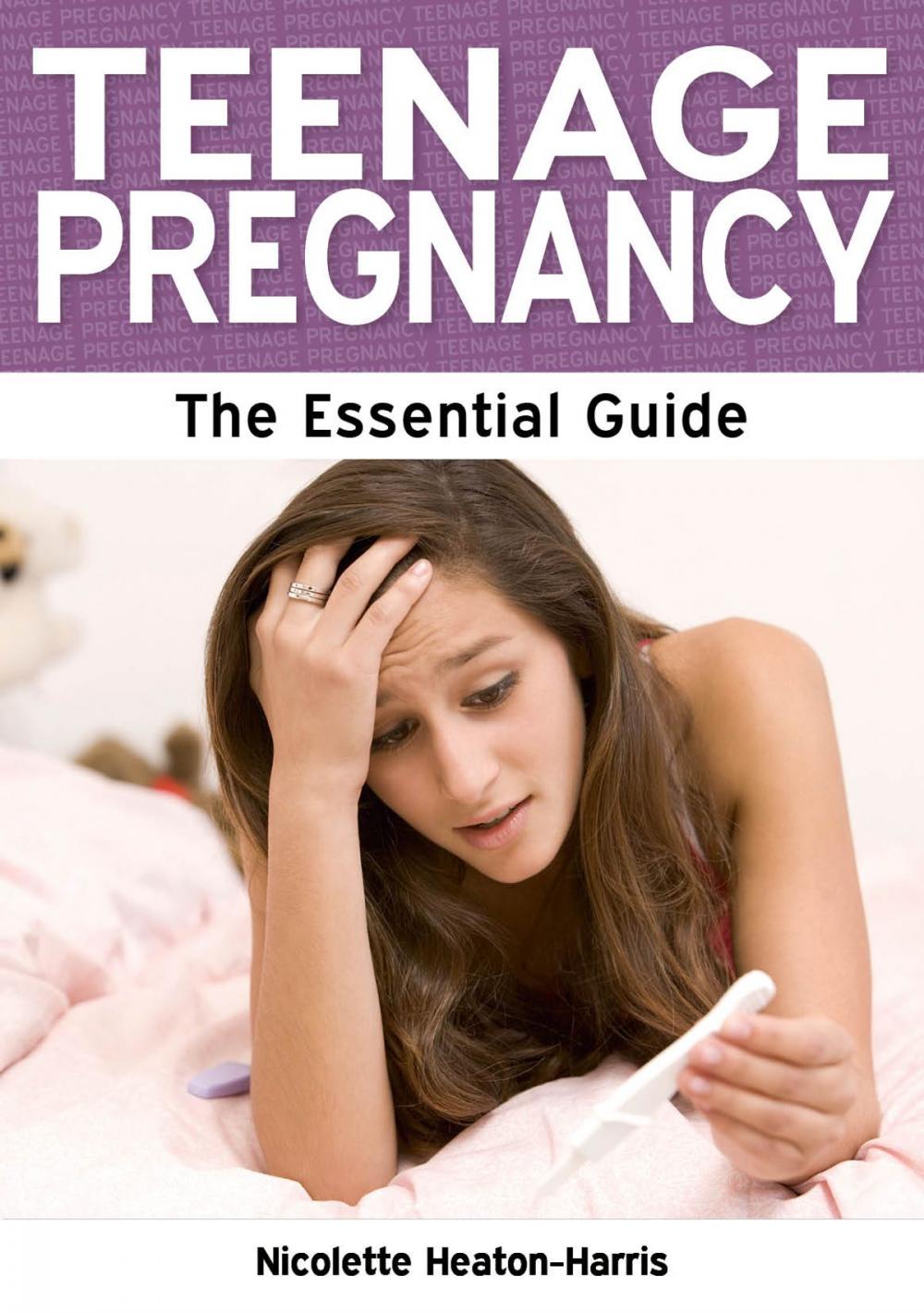 Big bigCover of Teenage Pregnancy: The Essential Guide