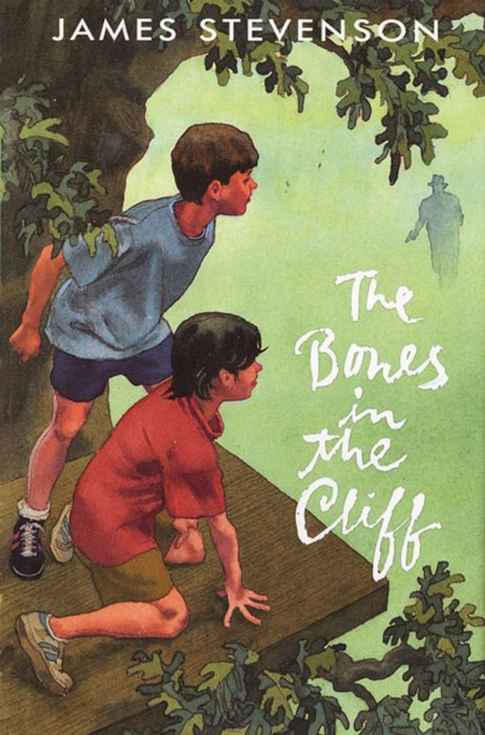 Big bigCover of The Bones in the Cliff