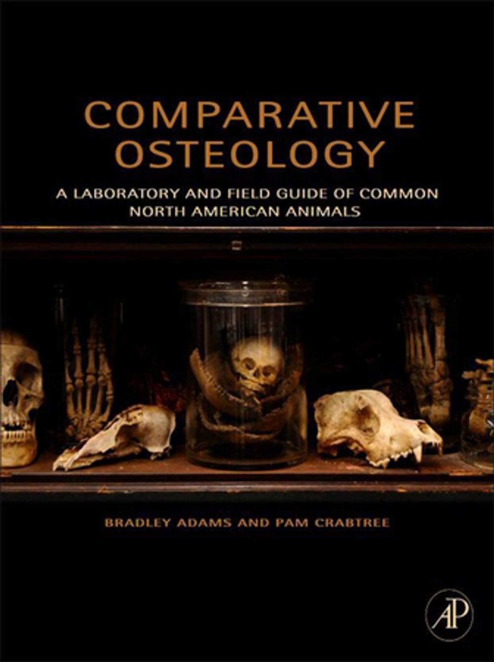 Big bigCover of Comparative Osteology