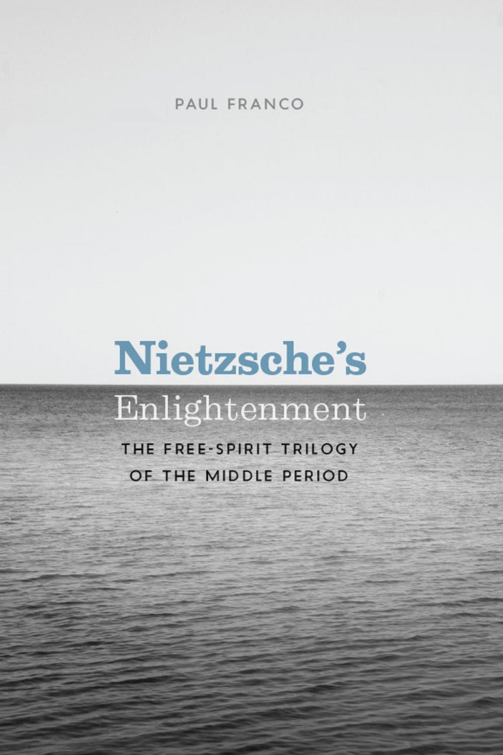 Big bigCover of Nietzsche's Enlightenment