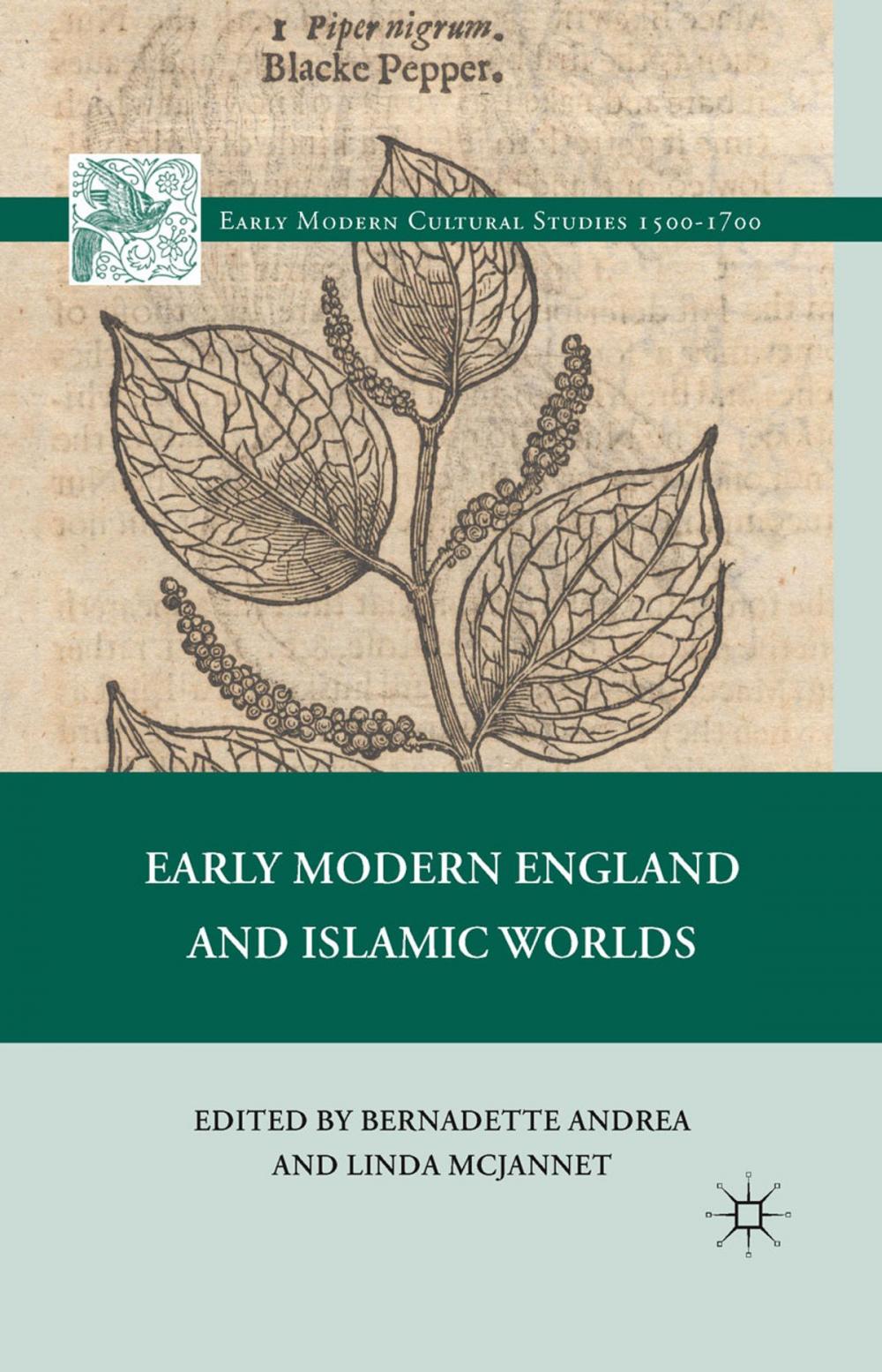 Big bigCover of Early Modern England and Islamic Worlds