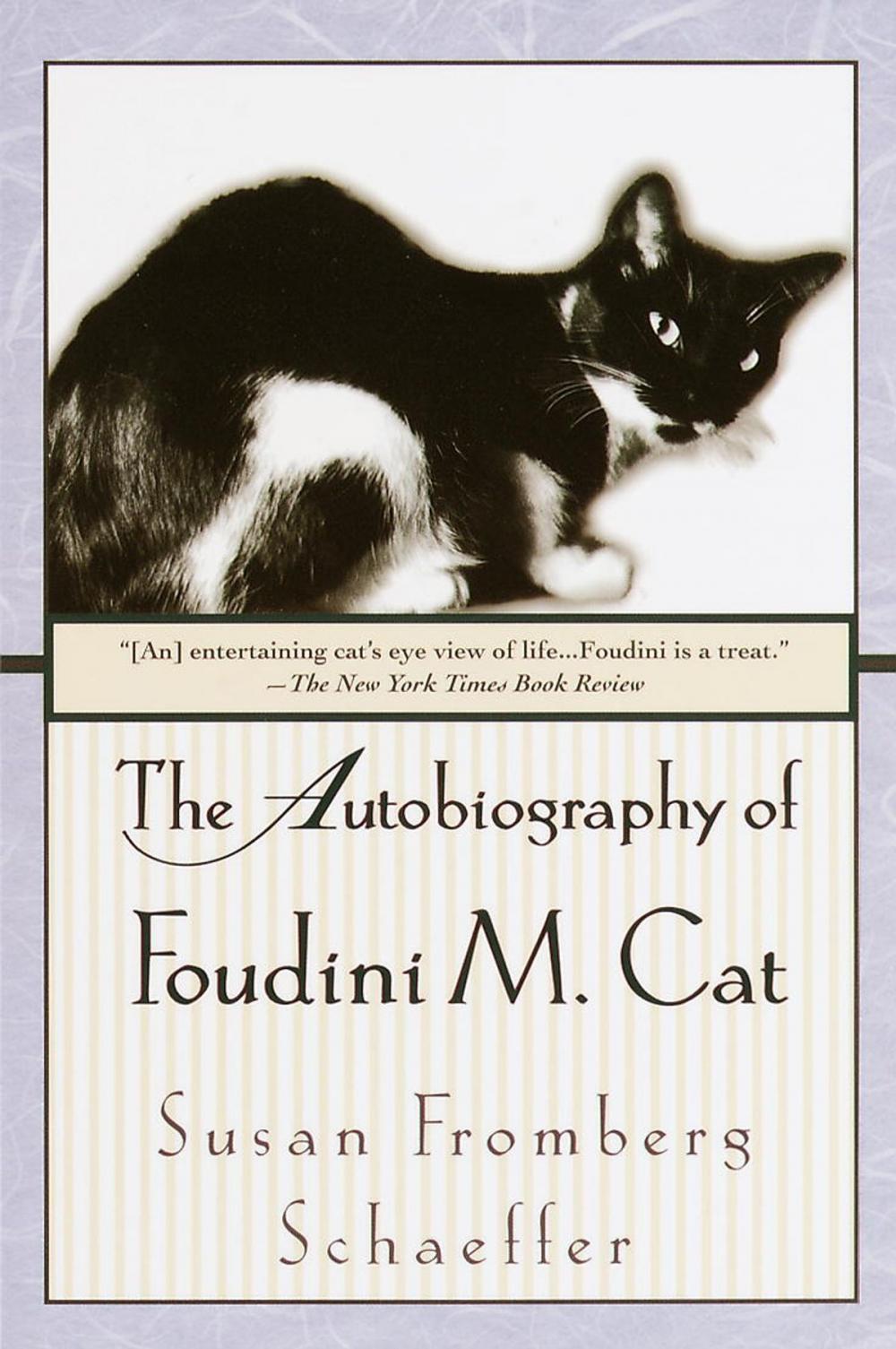 Big bigCover of The Autobiography of Foudini M. Cat