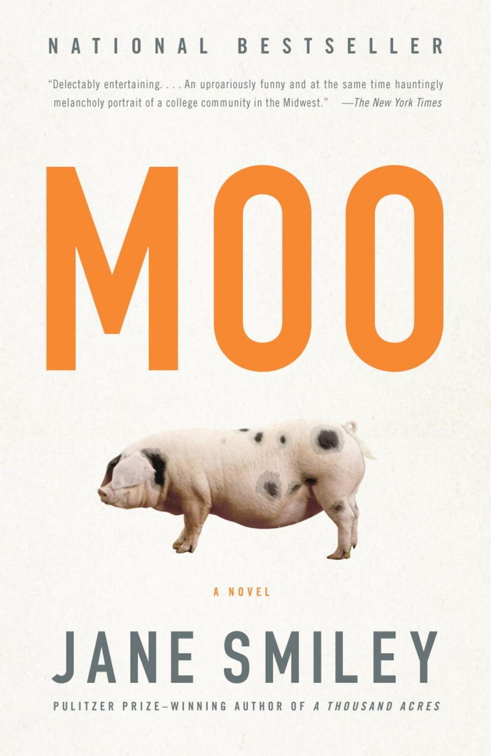 Big bigCover of Moo