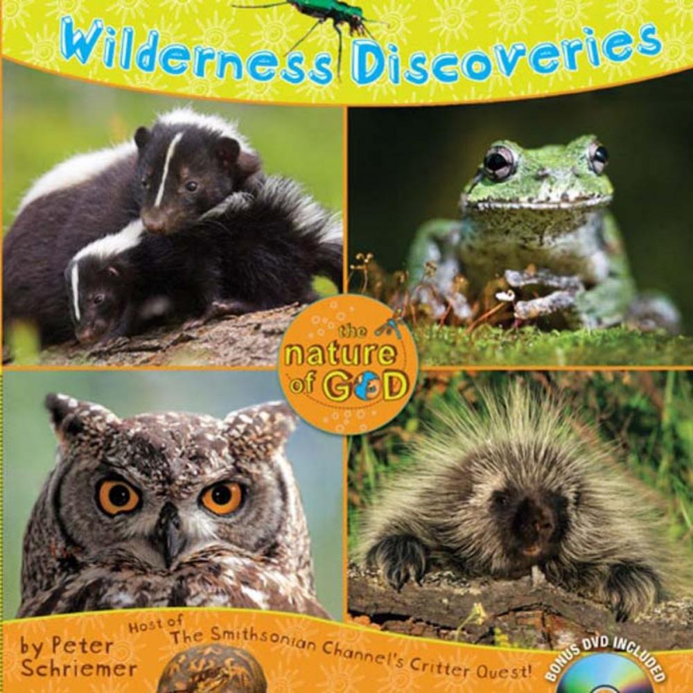 Big bigCover of Wilderness Discoveries