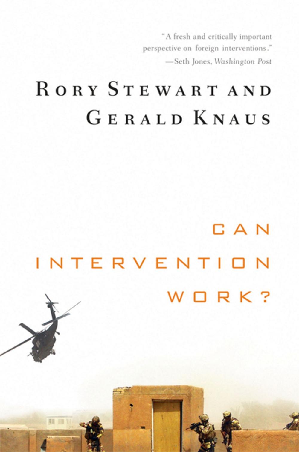 Big bigCover of Can Intervention Work? (Norton Global Ethics Series)