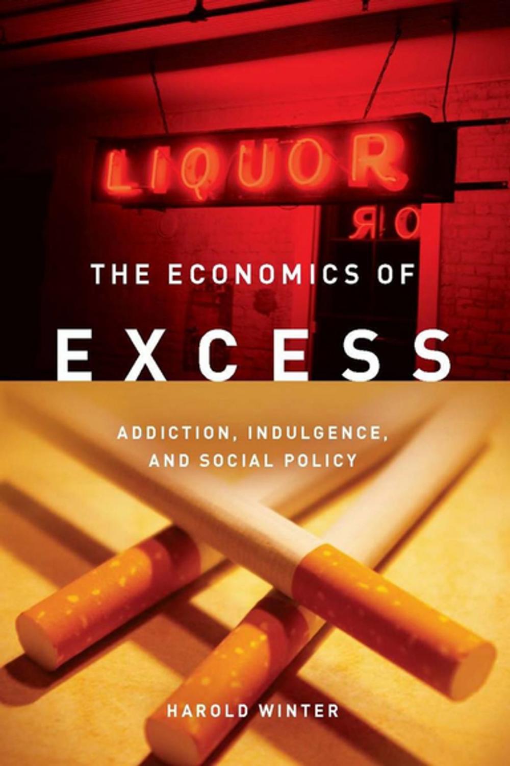 Big bigCover of The Economics of Excess