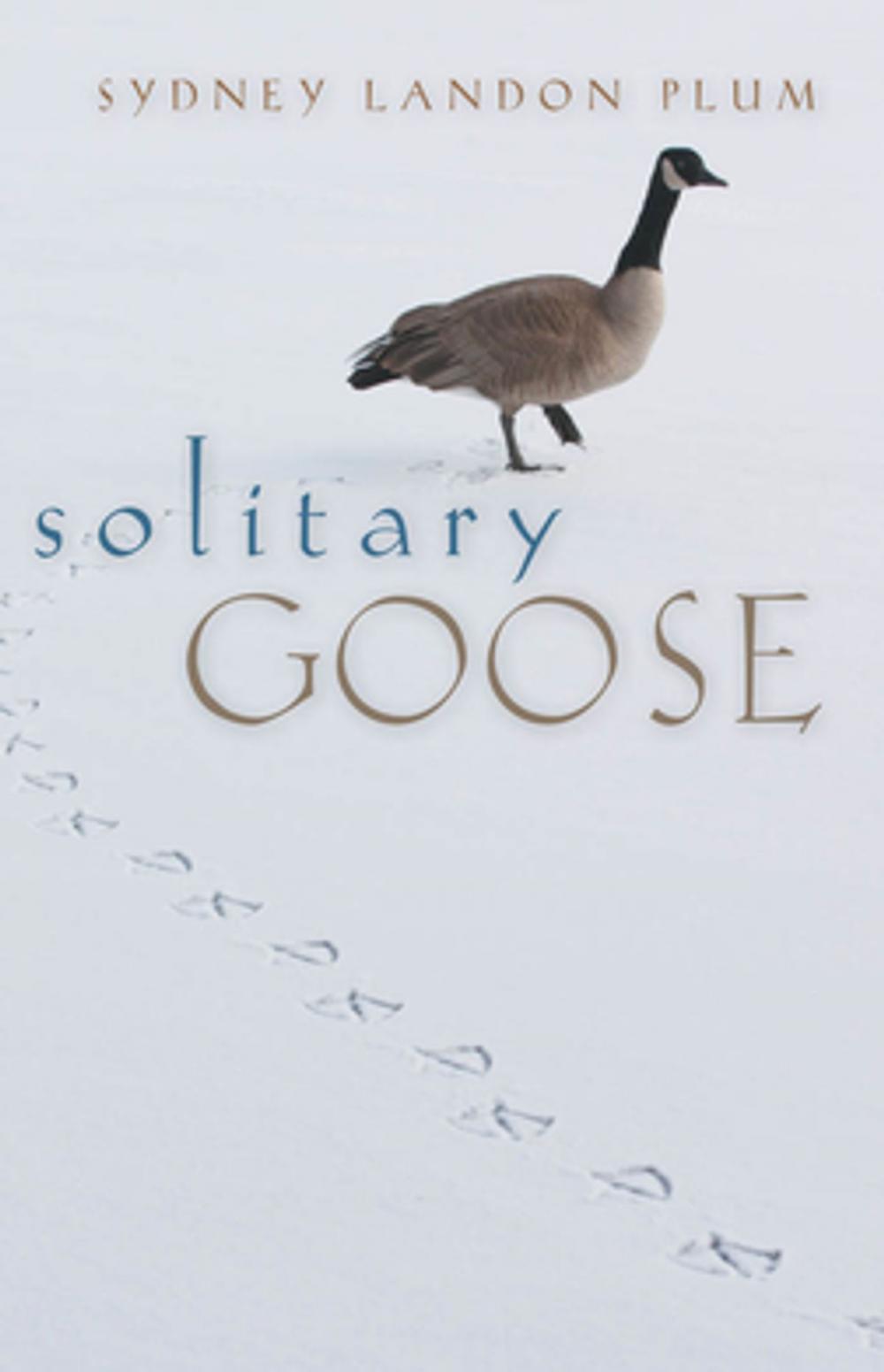 Big bigCover of Solitary Goose