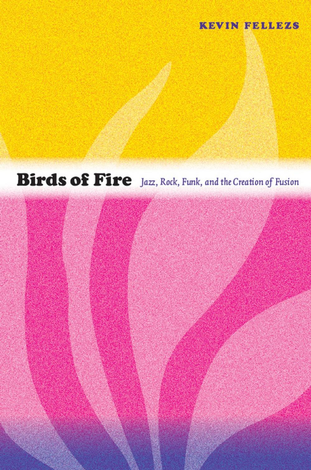 Big bigCover of Birds of Fire