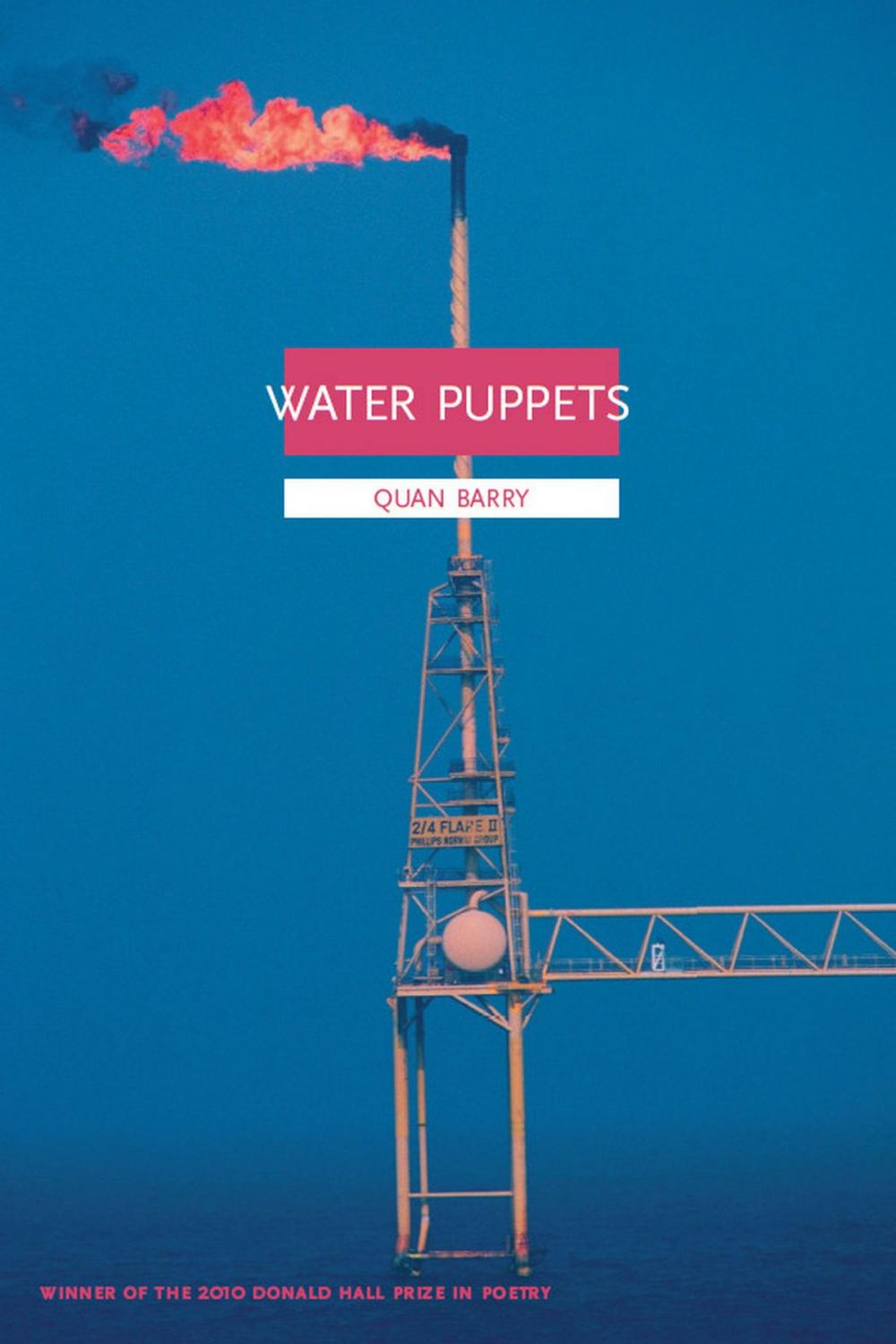 Big bigCover of Water Puppets