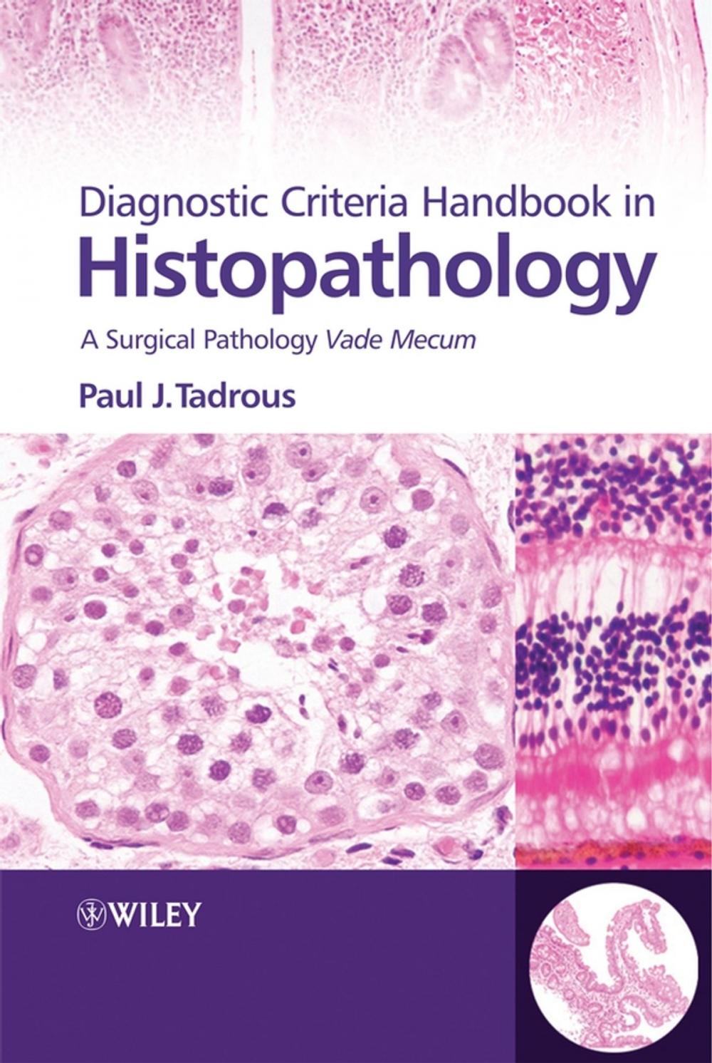 Big bigCover of Diagnostic Criteria Handbook in Histopathology