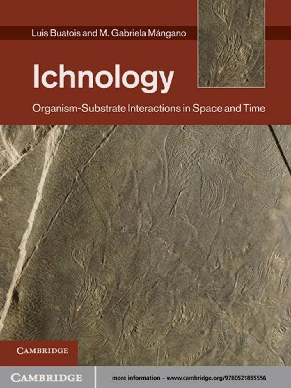 Big bigCover of Ichnology