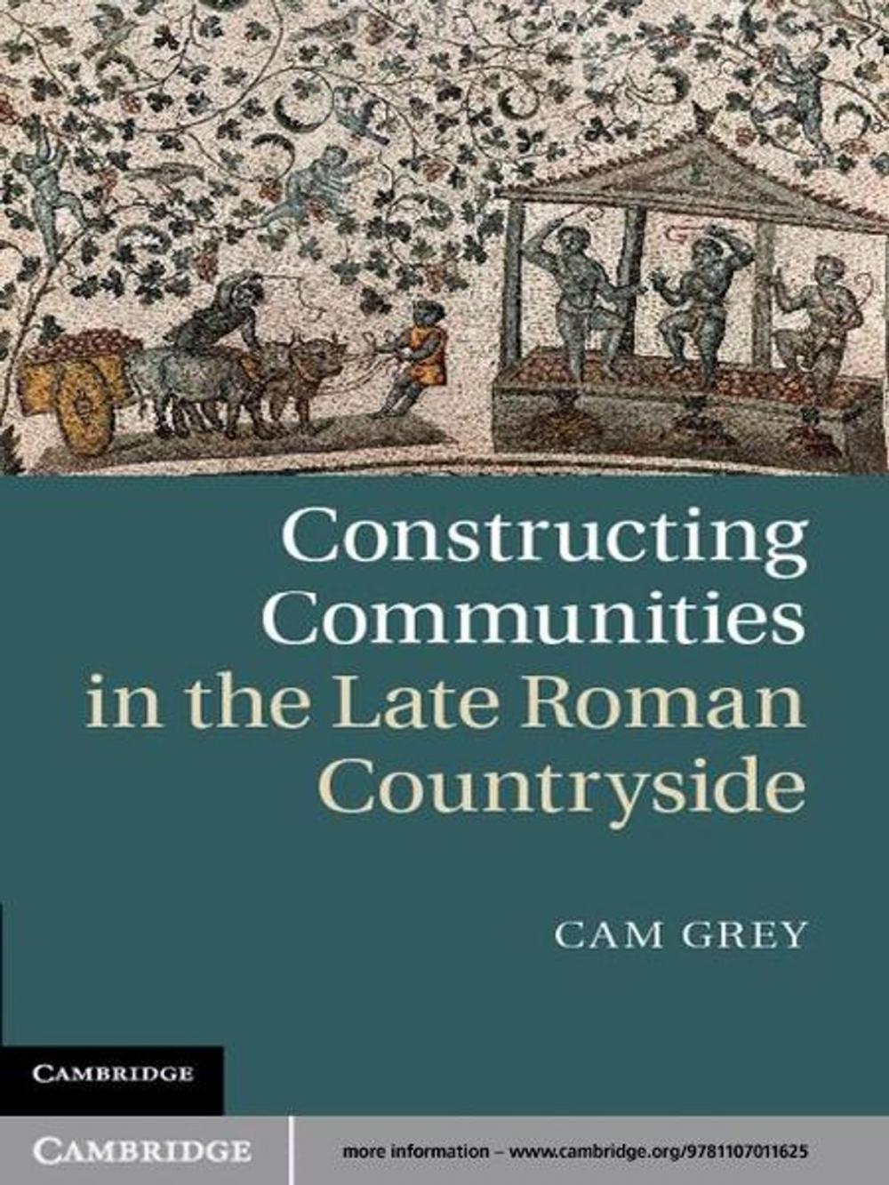 Big bigCover of Constructing Communities in the Late Roman Countryside