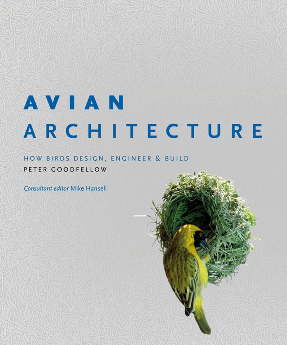 Big bigCover of Avian Architecture