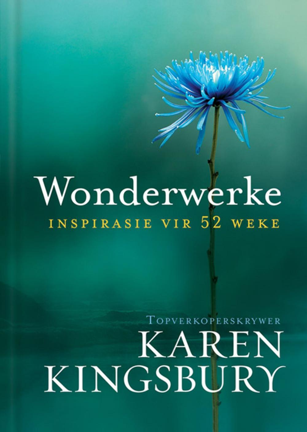 Big bigCover of Wonderwerke