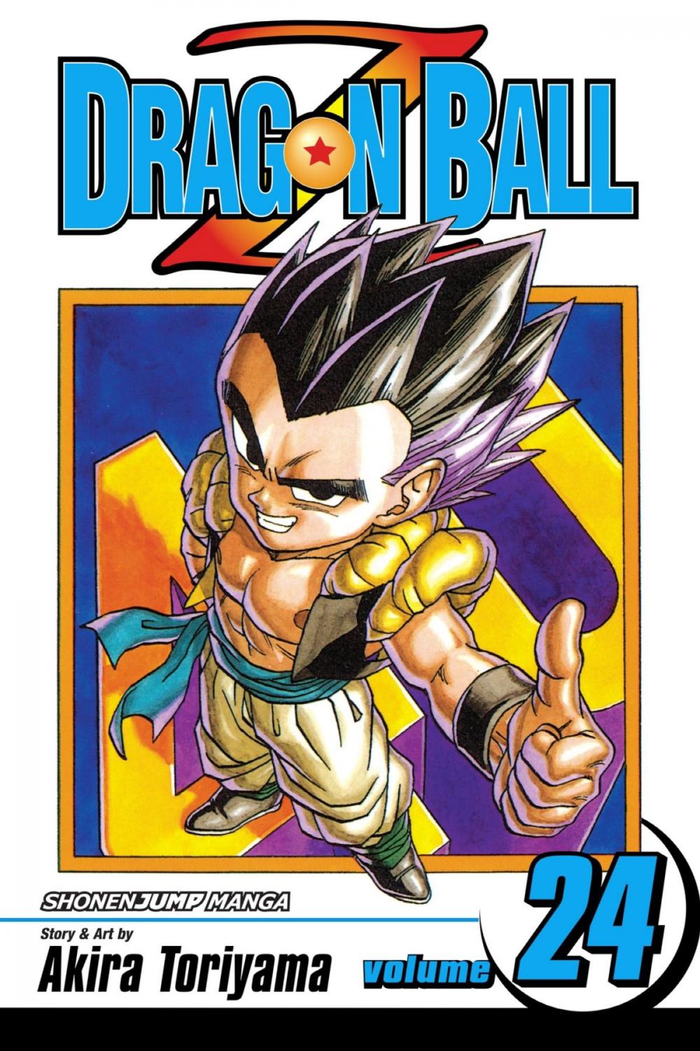 Big bigCover of Dragon Ball Z, Vol. 24