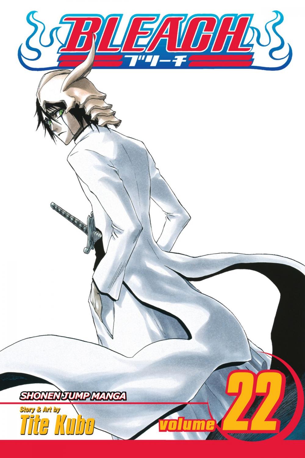 Big bigCover of Bleach, Vol. 22