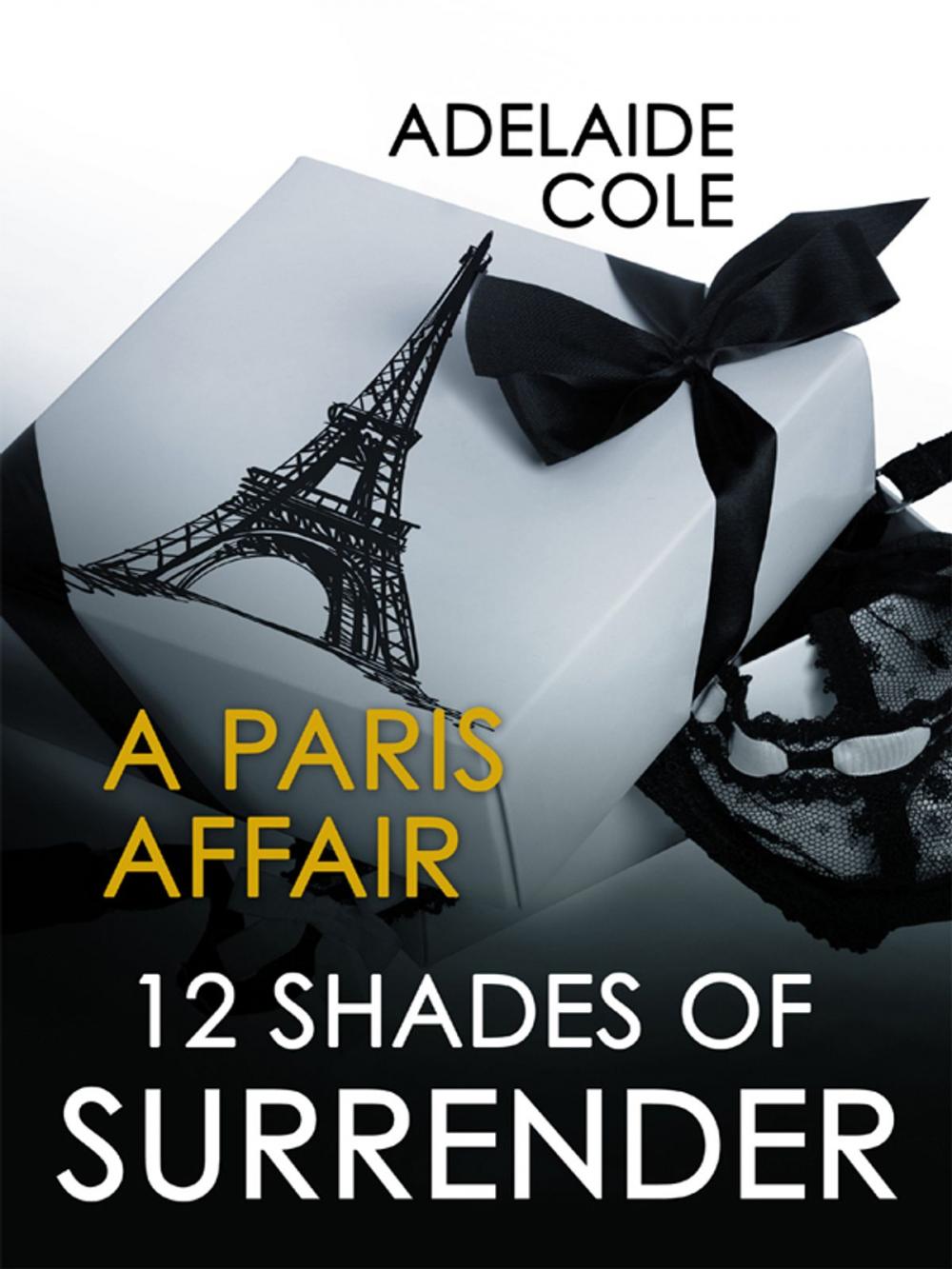 Big bigCover of A Paris Affair