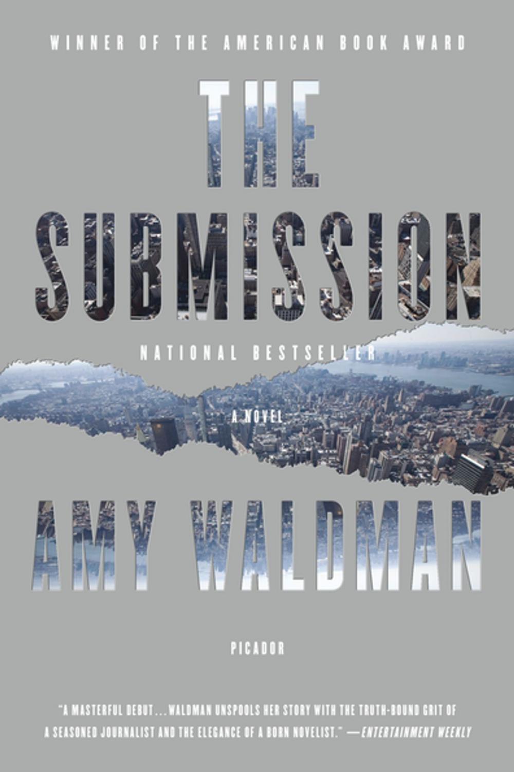 Big bigCover of The Submission