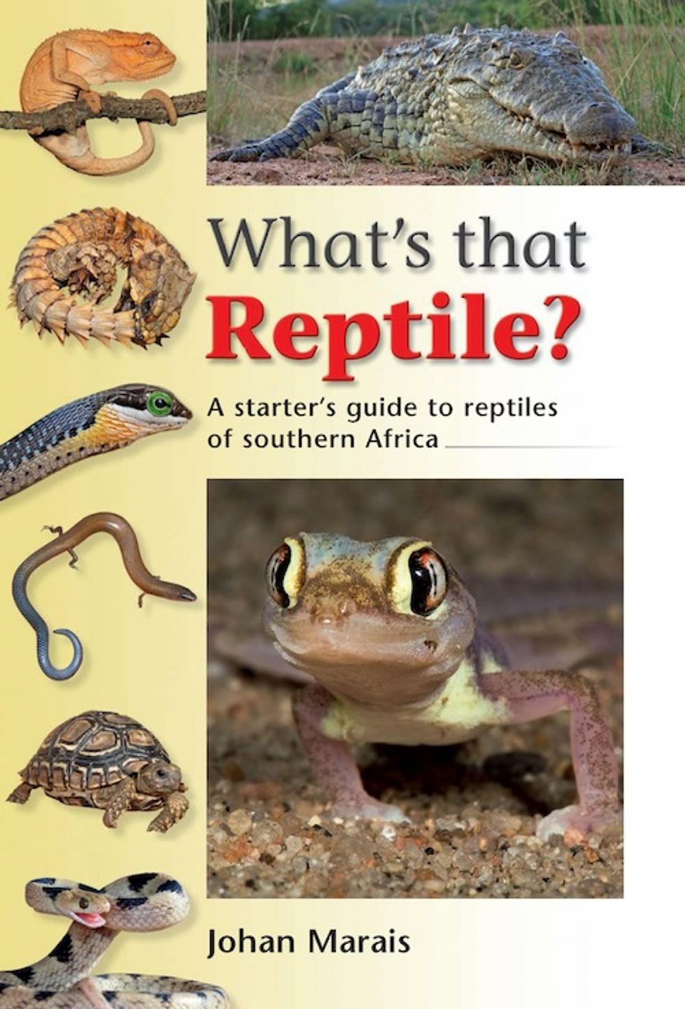 Big bigCover of What's that Reptile?