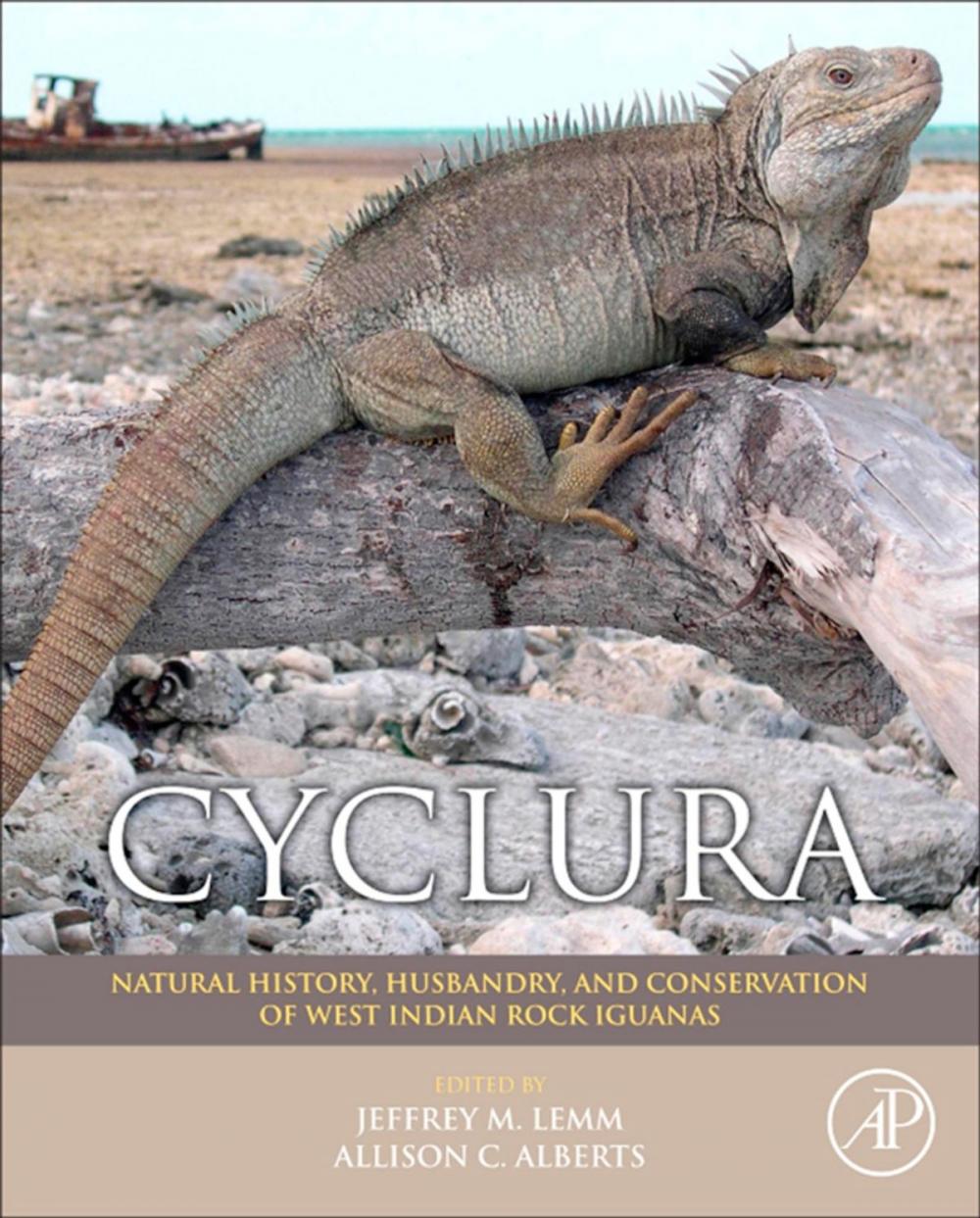 Big bigCover of Cyclura