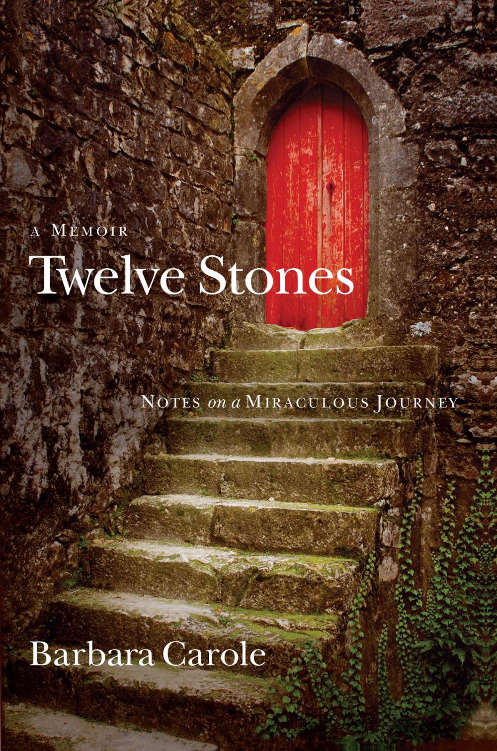 Big bigCover of Twelve Stones