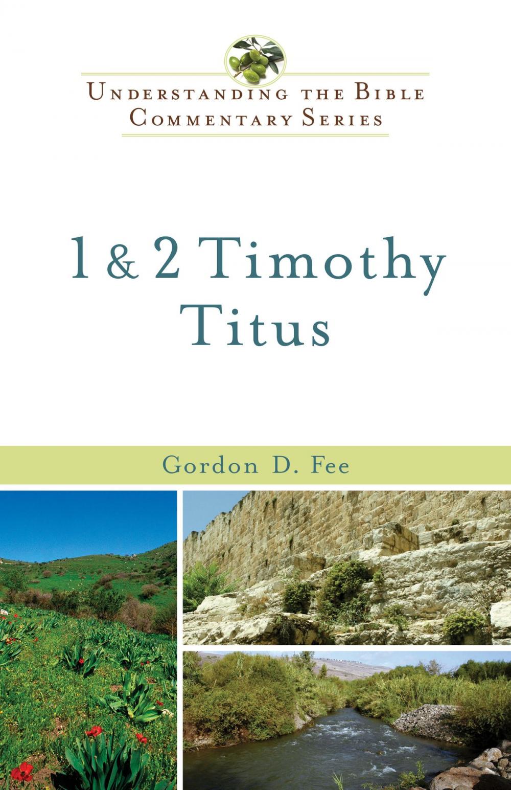 Big bigCover of 1 & 2 Timothy, Titus (Understanding the Bible Commentary Series)