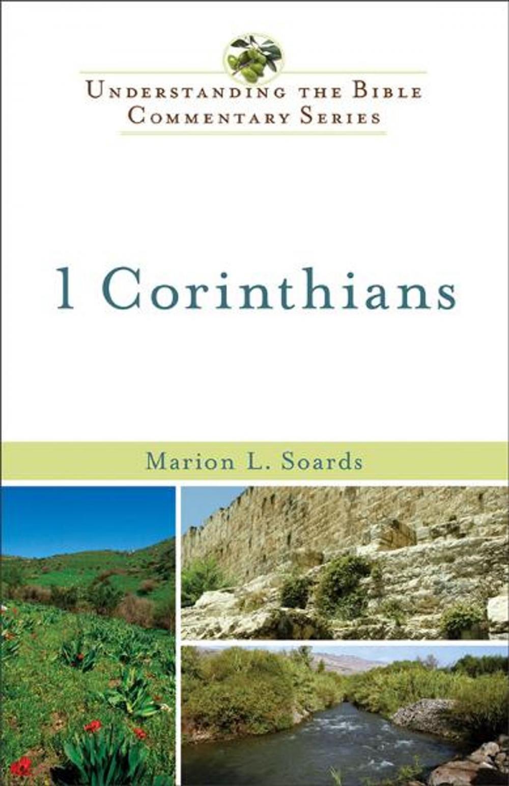 Big bigCover of 1 Corinthians (Understanding the Bible Commentary Series)