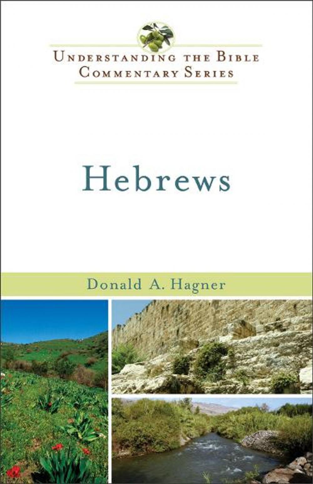 Big bigCover of Hebrews (Understanding the Bible Commentary Series)