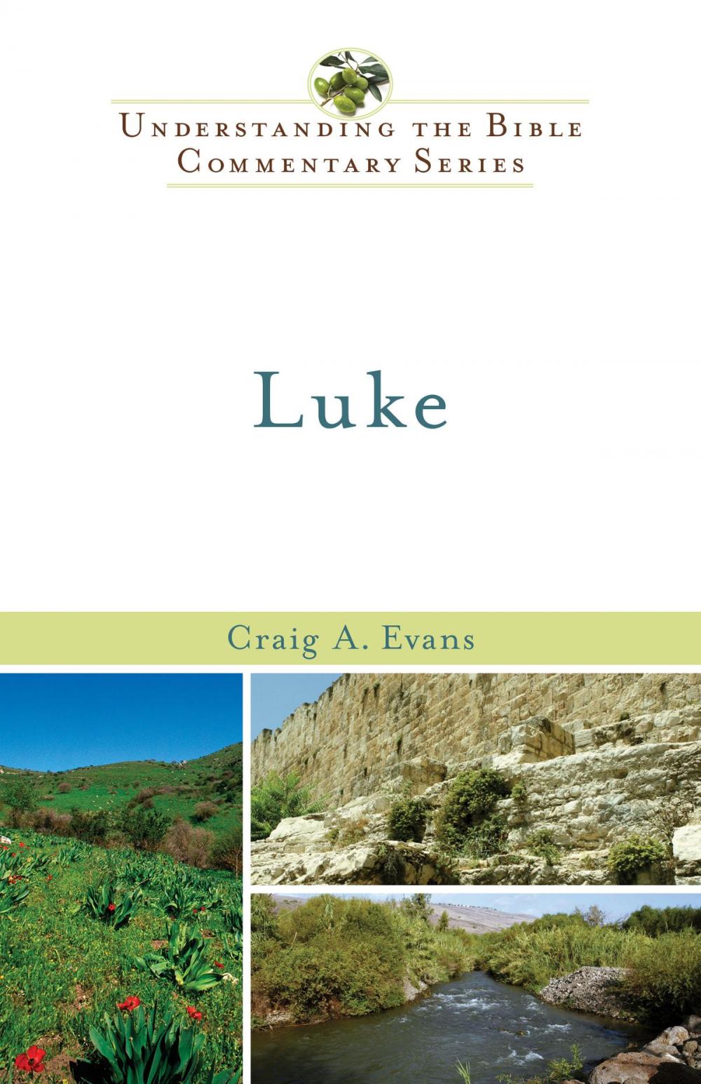 Big bigCover of Luke (Understanding the Bible Commentary Series)