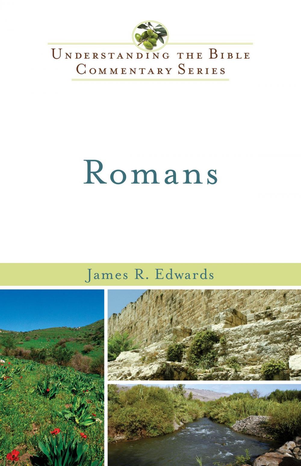 Big bigCover of Romans (Understanding the Bible Commentary Series)