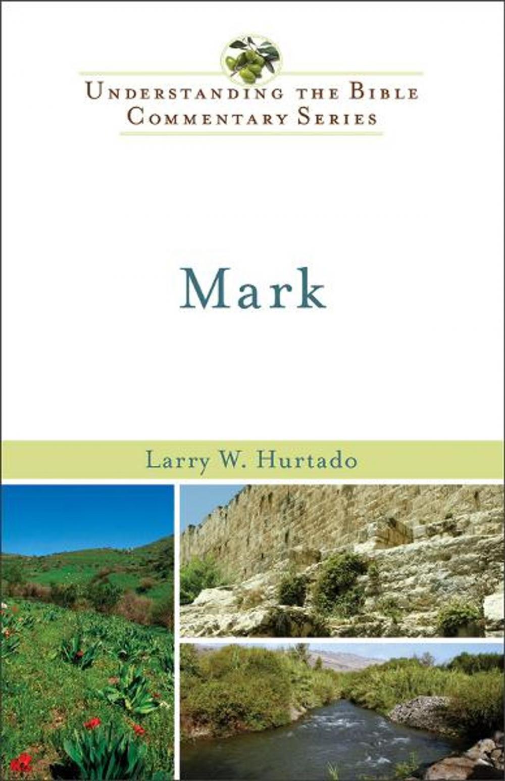 Big bigCover of Mark (Understanding the Bible Commentary Series)