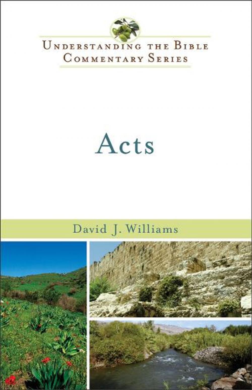 Big bigCover of Acts (Understanding the Bible Commentary Series)