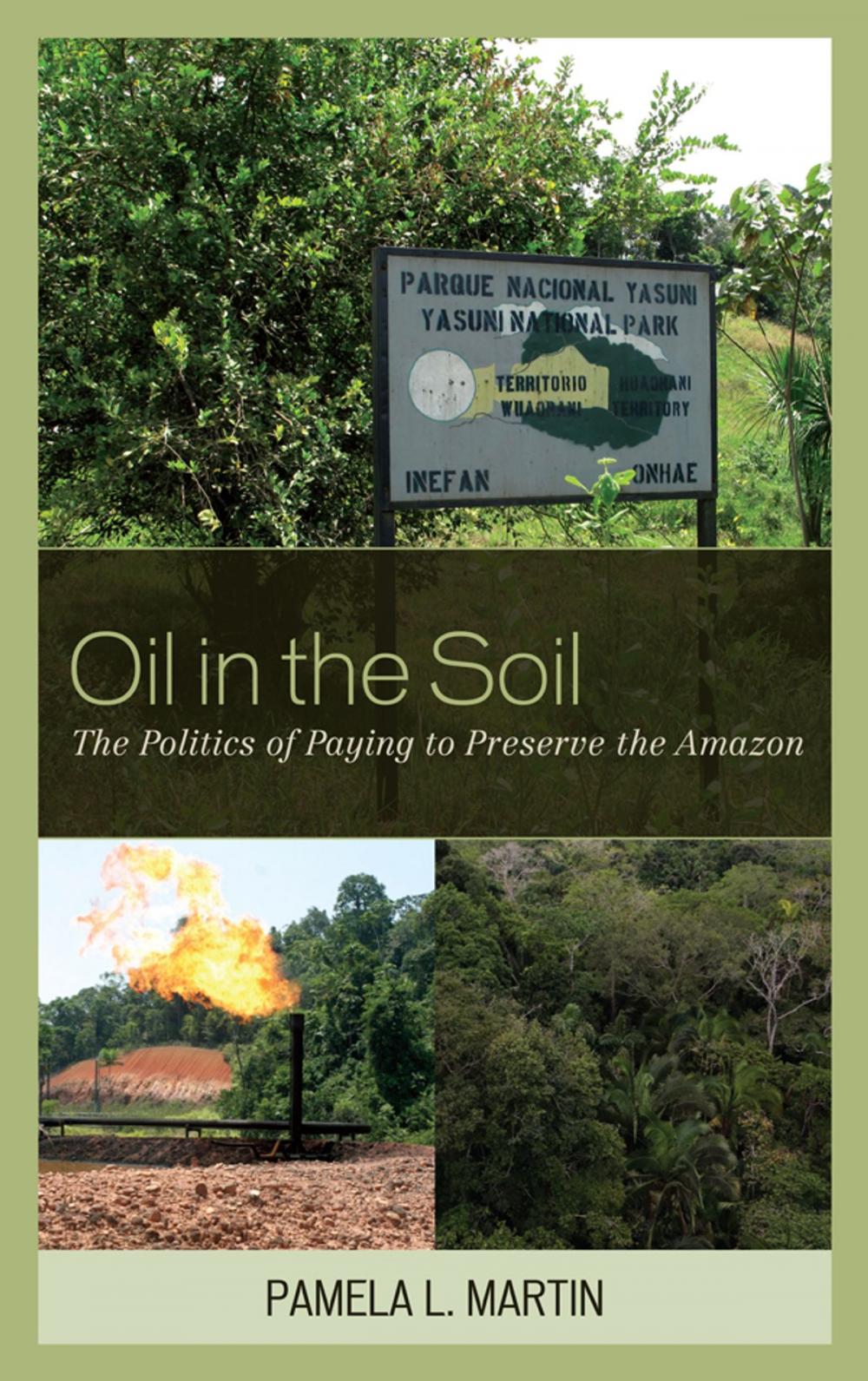 Big bigCover of Oil in the Soil