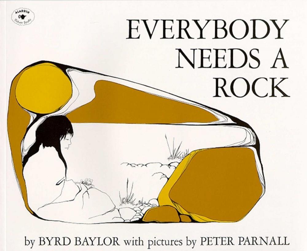 Big bigCover of Everybody Needs a Rock