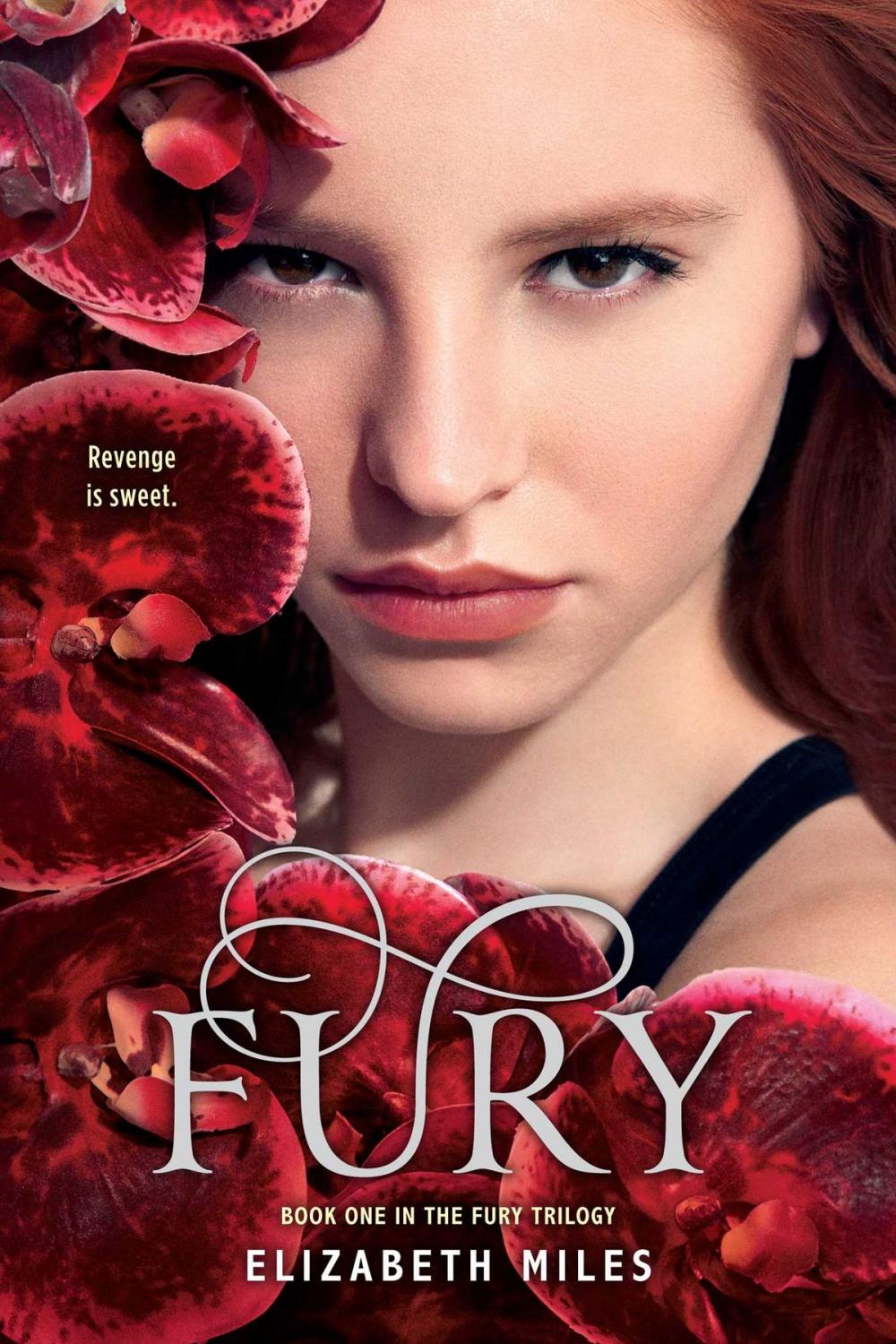 Big bigCover of Fury