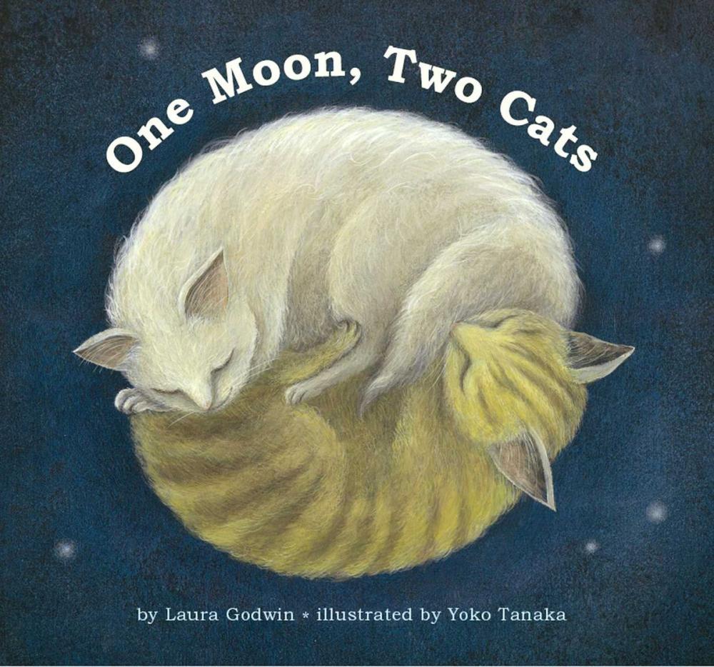 Big bigCover of One Moon, Two Cats