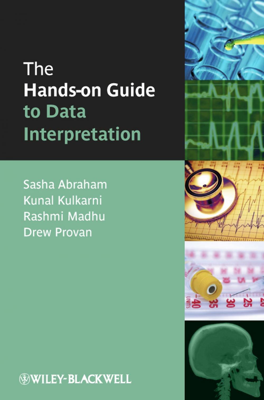 Big bigCover of The Hands-on Guide to Data Interpretation